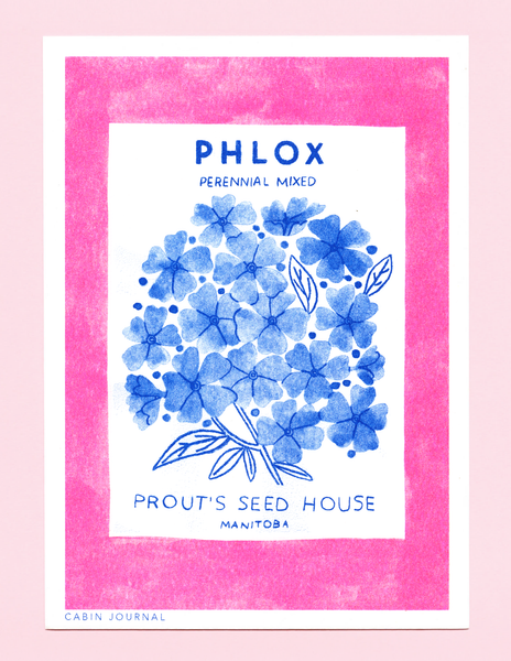 VINTAGE PHLOX | MINI PRINT