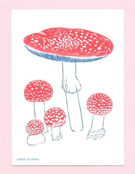 FAIRY TOADSTOOL | MINI PRINT