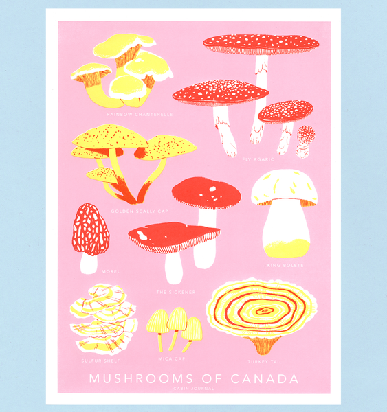 MUSHROOMS OF CANADA ART PRINT