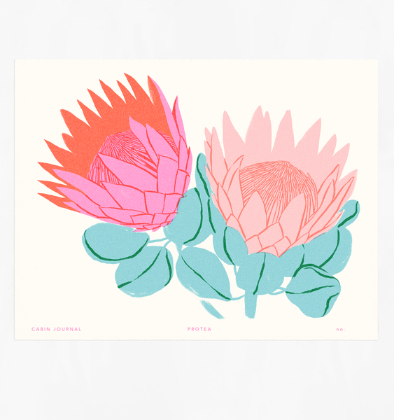 PROTEA ART PRINT