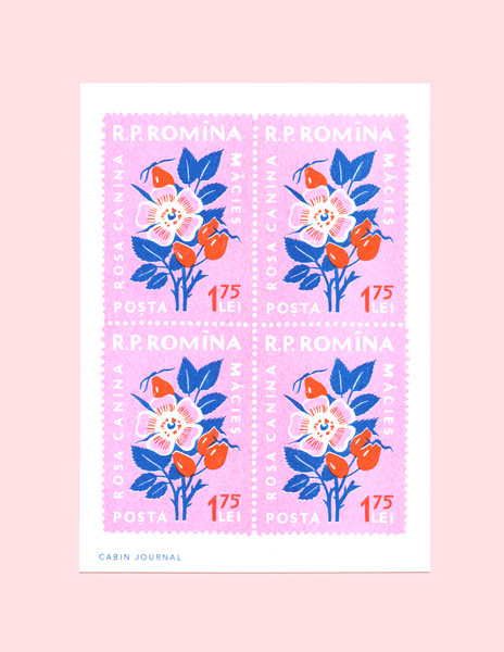 VINTAGE ROSE STAMP | MINI PRINT