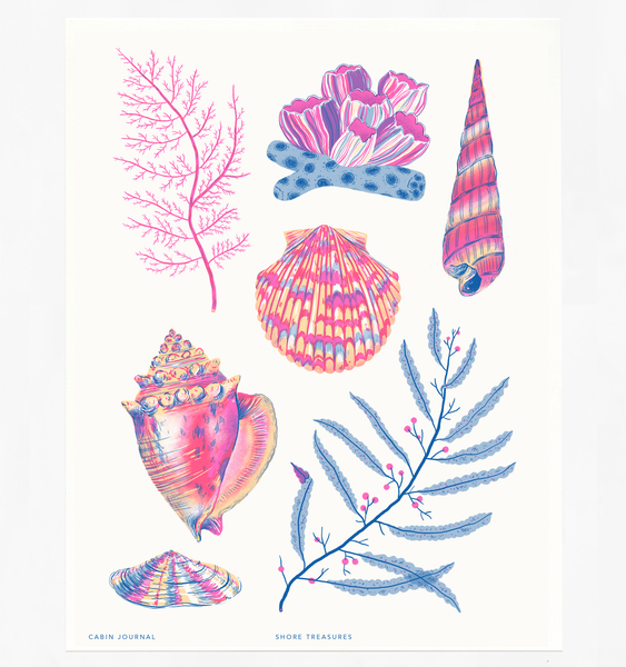 SHORE TREASURES ART PRINT